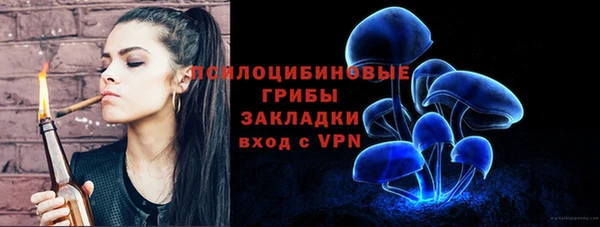 спиды Богородск