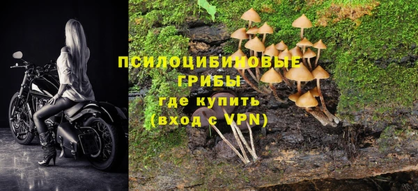 спиды Богородск