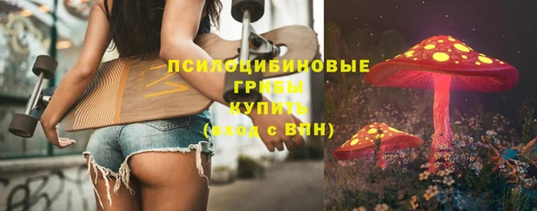 спиды Богородск