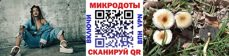 Галлюциногенные грибы прущие грибы  Тосно 